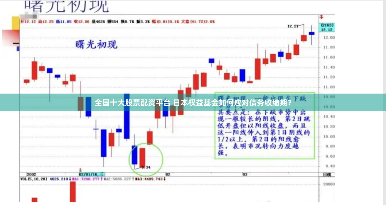 全国十大股票配资平台 日本权益基金如何应对债务收缩期？