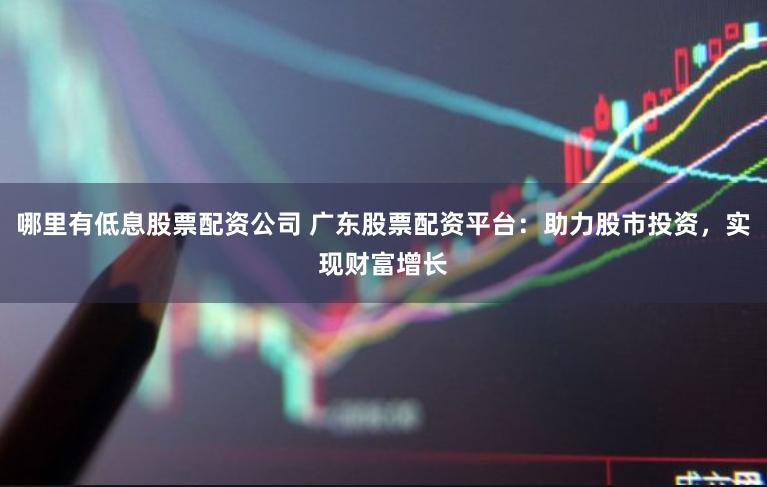 哪里有低息股票配资公司 广东股票配资平台：助力股市投资，实现财富增长
