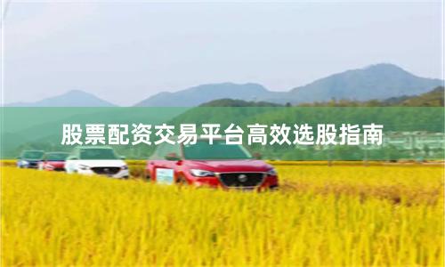 股票配资交易平台高效选股指南